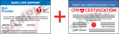 Sample American Heart Association AHA BLS CPR Card Certification and First Aid Certification Card from CPR Certification Brooklyn