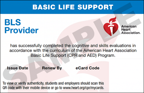 Sample American Heart Association AHA BLS CPR Card Certification from CPR Certification Brooklyn